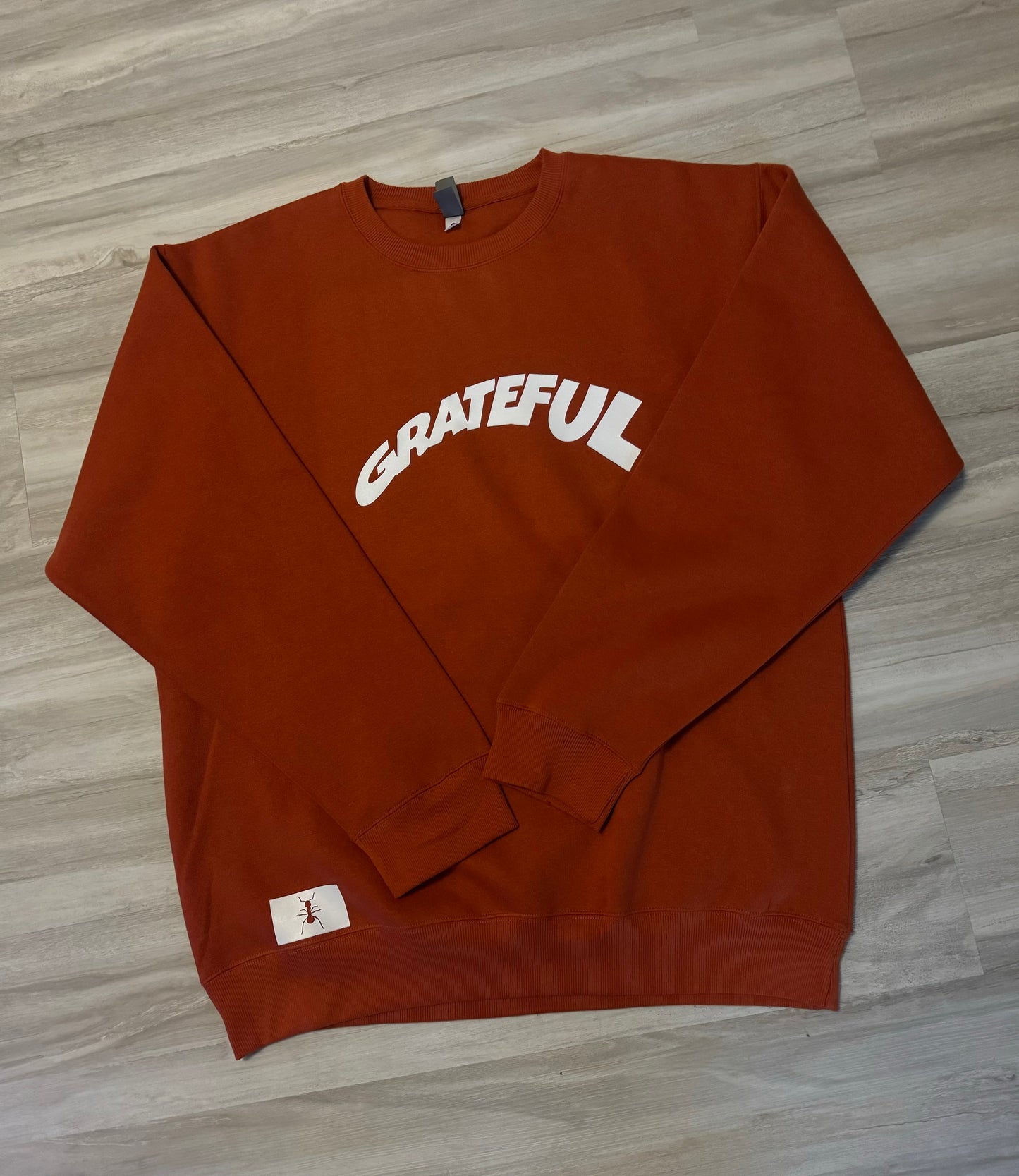 Burnt Orange Crewneck Sweatshirt